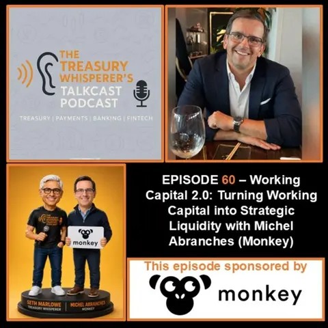 Episode 60 - Working Capital 2.0: Turning Working Capital into Strategic Liquidity with Michel Abranches (Monkey)