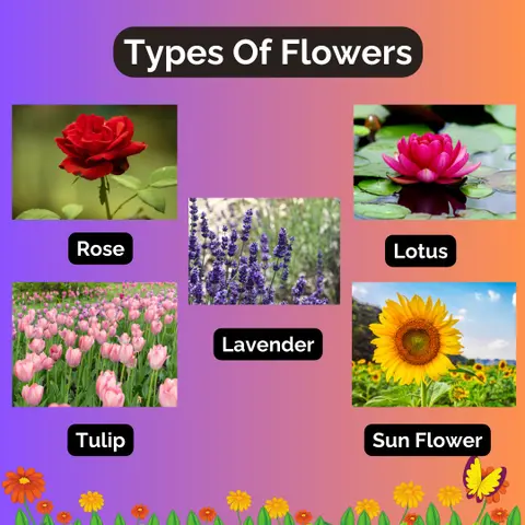 A Floral Vocabulary Journey In Polish