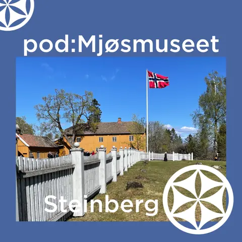 Grunnloven og den fulle skriveren