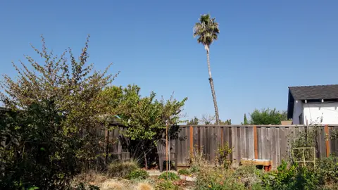 #15: In the garden