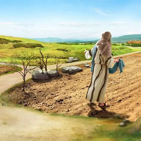 THE PARABLE OF THE SOWER 37 (The Parables of Jesus Series): THORNY GROUND Part 8