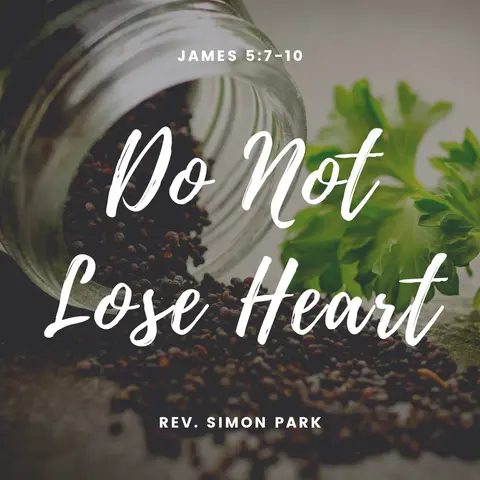 Do Not Lose Heart