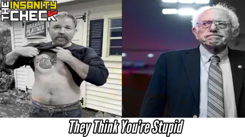 They Think You're Stupid - Insanity Check