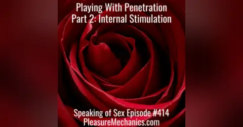 Playing With Penetration Part 2: Internal Stimulation