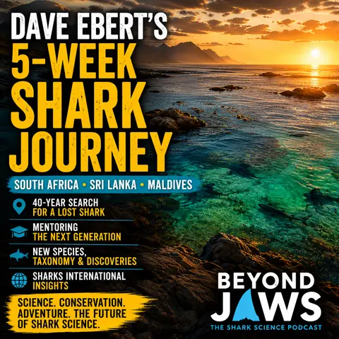 What a 5-Week Shark Trip Revealed About the Future of Shark Science and Conservation