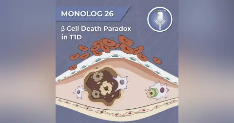 Monolog 26 - Beta cell death paradox in T1D