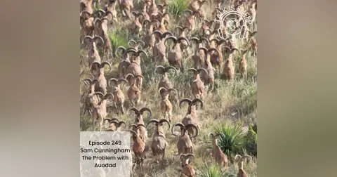 The problem with auodad with Sam Cunningham