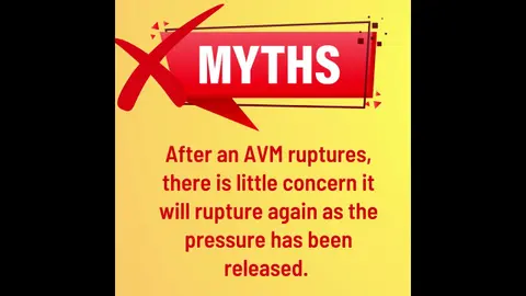 Brain AVM Fact