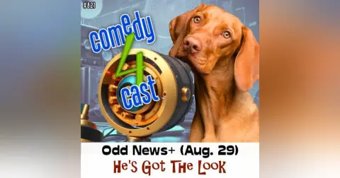 He’s Got The Look