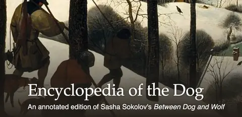 608 The Encyclopedia of the Dog (with Jose Vergara) | My Last Book with Gareth Russell