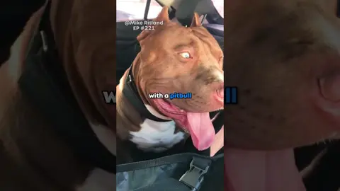 Smuggler Outsmarts The COPS!*