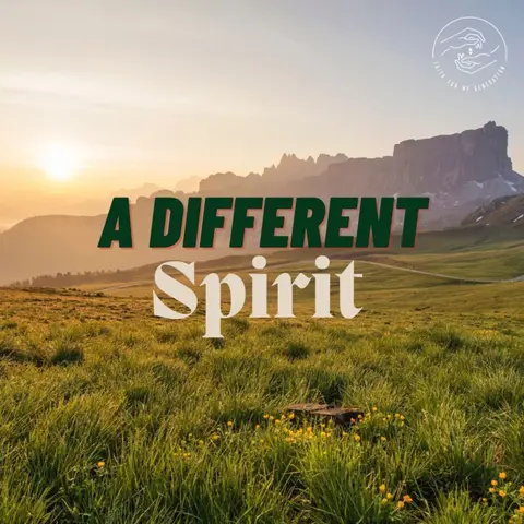 A Different Spirit (LIVE SERVICE)