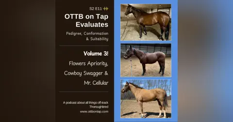 S2E11: OTTB on Tap Evaluates Vol 3 - Flowers Apriority, Cowboy Swagger and Mr. Cellular