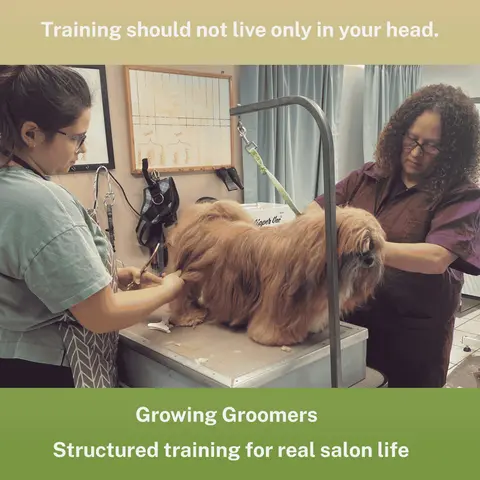 Meet Jennifer: The Training and Team Perspective