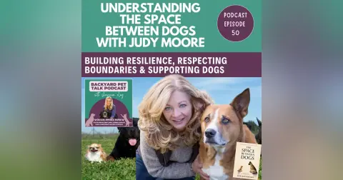 Understanding The Space Between Dogs with Judy Moore