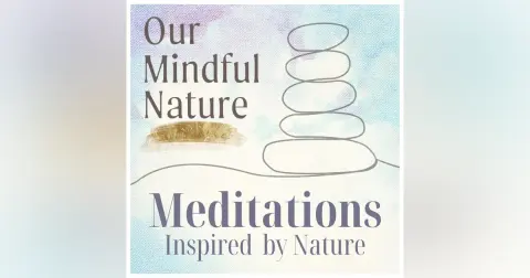 Should You Try Forest Bathing If You’re Meditating But Still Feel Overwhelmed By Anxiety?