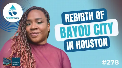 The Rebirth of Bayou City: Focusing on Water Solutions in Houston