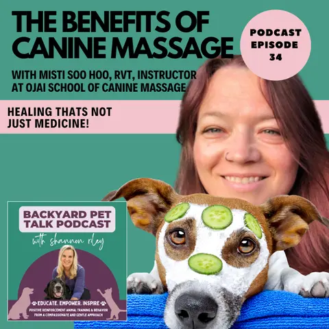 The Benefits of Canine Massage with Misti Soo Hoo, RVT