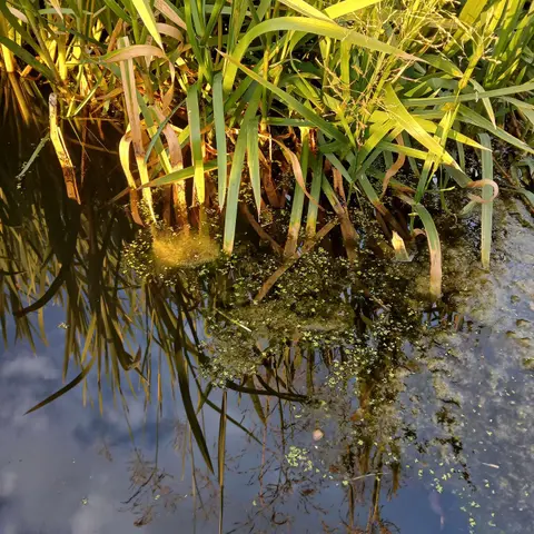 Slipping beneath the surface