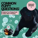 Episode 6: Common Puppy Questions