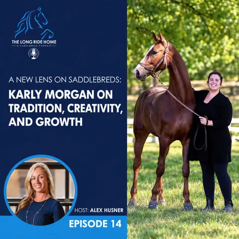 A New Lens on Saddlebreds: Karly Morgan on Tradition, Creativity, and Growth
