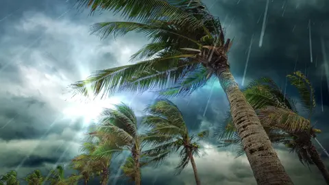 Tropical Storm Rain Sounds | Sleep, Study or Relax with Rainstorm White Noise | 10 Hours