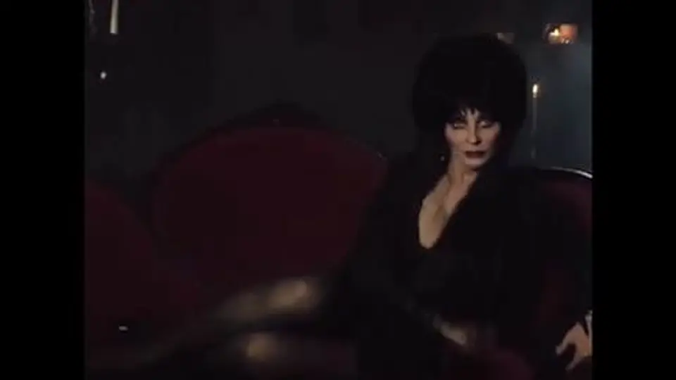 Elvira in Elvira's Movie Macabre Elvira in Elvira's Movie Macabre