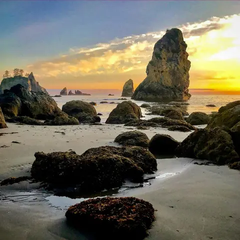 #165: Olympic National Park: Top Ten Things to See and Do