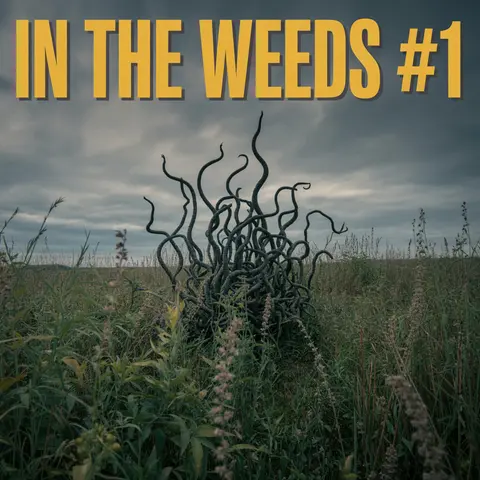 In The Weeds: Episode 1