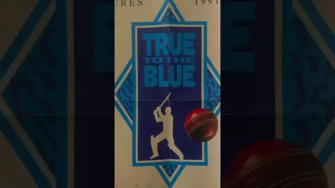 Who was your favourite NSW cricket player in the 90s 🏏