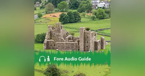 Fore Audio Guide