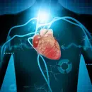 Ceryx Medical: company uses bioelectronics to coordinate the heart and lungs
