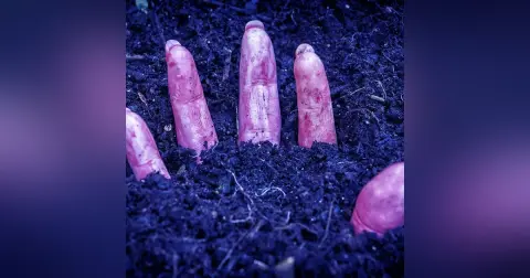The Dead Thing Under the House - Sometimes Death is Only the Beginning!