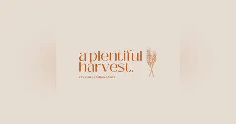 A Plentiful Harvest | Reflecting for Fruit
