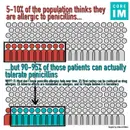 #87 Penicillin Allergy: 5 Pearls Segment
