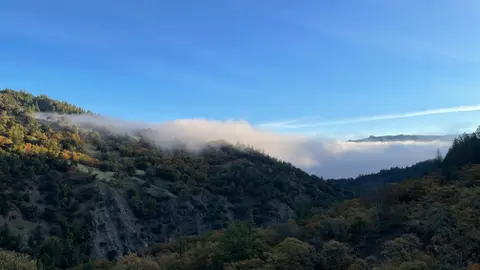 sunrise & gratitude