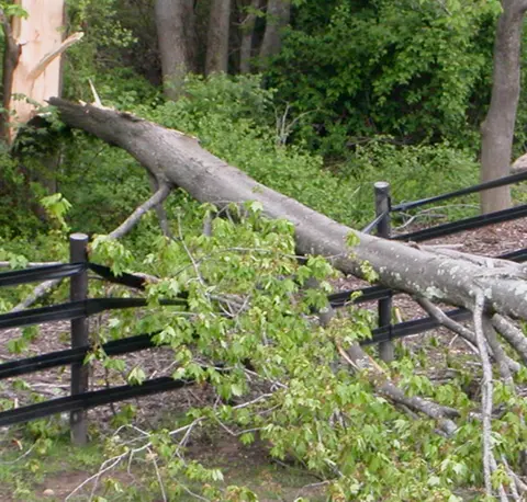 Mending Broken Fences
