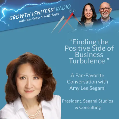 Finding the Positive Side of Business Turbulence – with Amy Lee Segami