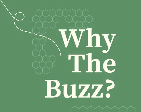 Why The Buzz? | The Path to Profits for West Red Lake as Gold Prices Climb with Shane Williams