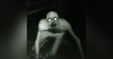 "La Bestia del Bosque" | Skinwalker Creepypasta