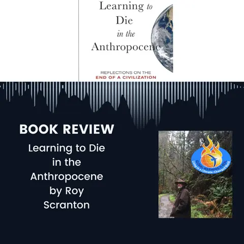 Confronting Reality: Patience, Reflection, and Love in the Anthropocene