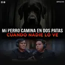 Historias Perturbadoras de Animales Extraños: Mi Perro Camina en 2 Patas cuando Nadie lo ve