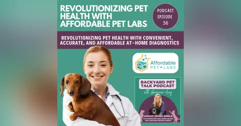 Revolutionizing Pet Health with Affordable Pet Labs