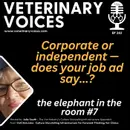 Corporate or independent — does your job ad say? - ep. 282