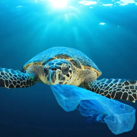 The mystery of missing marine plastic