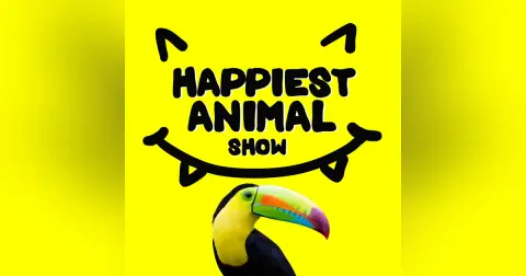 Animal Sidekicks (with special guest Mike Wilson)