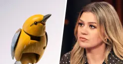 Kelly Clarkson, Stargate and Coogler's X-Files
