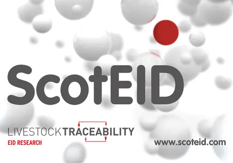 History of Traceability in Scotland, Consumer Impact/Exports, Implementation of System, Benefits of System, Recommendations