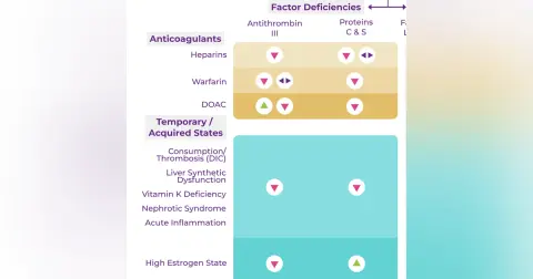 #173 Hypercoagulability Workup: 5 Pearls Segment