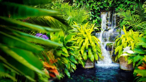 Gentle Stream Water Sounds White Noise | for Sleep, Relaxation or Studying | 10 Hours Ambience